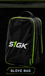 Glove Bag product image